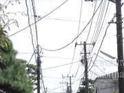 [JUY-016] 拜托请不要告诉丈夫 相澤ゆりな【BVPP】 - 1of5