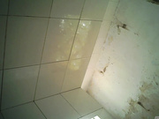 棍哥办公楼WC雅拍女白领-初露锋芒170背杀黑衣大屁股少妇