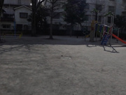 [LOL-231] 幼性発見！念願のパイパンロ●ータ捕獲！ゆかちゃん136cm 美好柚伽 - 1of5