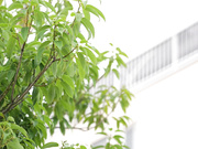 [SSIS-563] すごいカラダすごい絶頂 九州ナンバーワン美ボディが撮影スタジオに着いた瞬間から丸1日ぶっ通しノンストップ撮影で異常トランス絶頂！！ 山手梨愛【破解】 - 1of5