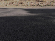 [AIAV-025] 【AI同人】道で拾ったケモ耳従順ペットは発情期【3.1次元】 - 1of5