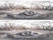 Big tits Latine tease and masturbate