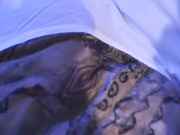 干爹带着高中女生就去酒店开房 妹子没来得及换衣服直接穿着校服就开干 小逼还挺嫩