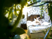 精品绿叶房偷拍-性感短裙大学美女被异地恋男友趴屁股上爆插,听声音好像干哭了,说：感觉你比以前变大了,太深!