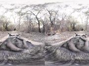 Hot Wonder Woman cosplay fuck