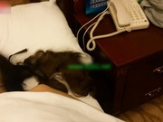 国产迷奸系列-美容院丰满老板娘陪客户吃饭被灌醉带到酒店猛烈抽插,操的真狠