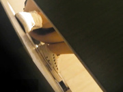 牛人潜入商场隔板女厕侧拍黑丝美眉阴唇有很多分泌物