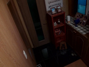 [ADN-064] 你，原諒我…。違背道德的帆布 上原亜衣