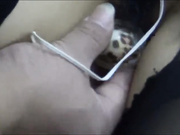 剧情演绎制服国模落入匪窝被绑匪折磨放入皮箱里高清无水印原版