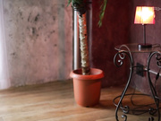 [MXGS-970] 新人 三浦加鈴 H罩杯巨乳24歳AV出道 - 1of5