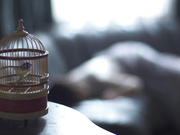 [RBD-860] 監禁婚姻譚 红绳连接的两人 川上奈々美 - 1of5