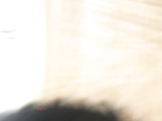 獨家推薦 少婦殺手酒店開房私會饑渴騷浪輕熟女情人 主動張開雙腿給操幹得浪叫連連 對白清晰 1080P高清