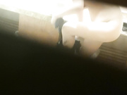 美女上厕所后洗澡